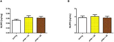 Expression of a stress-inducible heme oxygenase-1 in NK cells is maintained in the process of human aging